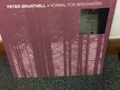Peter Bruntnell - Normal For Bridgwater LTD 496/500 White LP Vinyl RSD 2020 NEW
