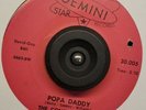 VG++ Constellations GEMINI Popa Daddy ORIG.