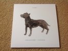 P J HARVEY A DOG CALLED MONEY / I'LL BE WAITING 2017 7