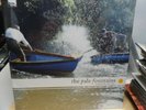 The Pale Fountains - Longshot For Your Love LP RSD 2020 Brand New