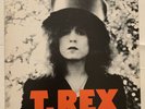 T. Rex - The Slider - Original 1970s White label Promo - Reprise Records MS 2095