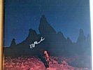 PHOEBE BRIDGERS Punisher signiert SEAGLASS WAVE Vinyl LP SIGNED ART PRINT + book