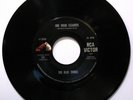 THE BLUE THINGS. THE ORANGE ROOFTOP OF YOUR MIND/ONE... RCA 47-8998 GARAGE PSYCH