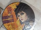 SIOUXSIE AND THE BANSHEES  PEEL SESSION 77-78 PICTURE DISC LIMITED EDITION