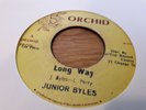 Junior Byles , Long Way , Upsetters , Longer Way , 7