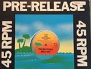 I-Roy Reggae 1979 Vinyl Maxi 12“ The Maytones Lone Ranger