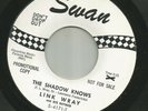 GARAGE SURF HALLOWEEN INSTRO-LINK WRAY- THE SHADOW KNOWS - HEAR 1964 DJ SWAN
