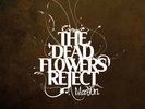 MANSUN The Dead Flowers Reject white vinyl RSD 2020 still seald Record Store Day