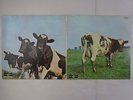 Pink Floyd Atom Heart Mother Odeon OP-80102 Japan  VINYL LP