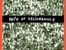 Beatles Paul McCartney UK 45 R 633O HOPE OF DELIVERANCE W/Pic Slv ()