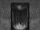 PAYSAGE D'HIVER - Im Wald [BLACK 4-LP BOX] (BOXLP)