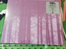 Record Store Day 2020 RSD Peter Bruntnell Normal For Bridgwater 494/500