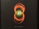 Pearl Jam  Binaural  Vinyl 1st Press Original Epic Records 2LP 2000 Rare Nice