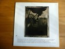 Pixies ?– Surfer Rosa Benelux 1988 
