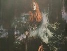 Tori Amos SEALED Native Invader 2 x LP OOP