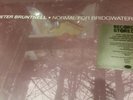 Peter Bruntnell - Normal For Bridgwater LTD /500 White LP Vinyl RSD 2020 NEW