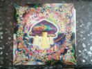 Dance Trance Magic Plants Otherworld - 1997 - Goa - Double LP - EX - Transient