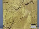 Lee Scott x Sadhu Gold x Bisk Gold Dust Daupe  158/250 LP Picture Disc Record