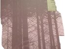 Peter Bruntnell. Normal For Bridgewater RSD 2020 Numbered Rare