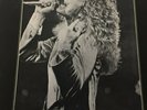 Led Zeppelin Kashmir vinyl album not tmoq or takrl
