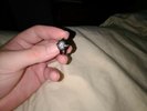 Mf Doom pin