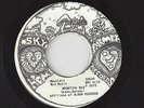 ?SKY FARMER Mountain Bus/Boscobel Country Life Home 5315 Rare Wisconsin ROCK 45?