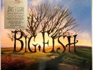 Big Fish Soundtrack [Daffodil Yellow Colored Audiophile Vinyl] LP Record Album