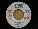 Tender Slim 45 Im Checkin Up bw Dont Cut Out On Me on Herald