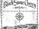 Black Stone Cherry - Between The Devil & Deep Blue Sea  (180g LP Vinyl)  sealed