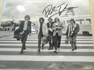 Dick Taylor Of the pretty things Signed Photo This 12x8 Photo Rolling Stones