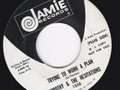 Northern Soul Dorothy & Hesitations Trying To Work A Plan Jamie Demo Original