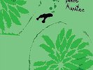 ANIMAL COLLECTIVE - DANSE MANATEE FAT CAT PRESSING 2009 VINYL LP
