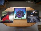 Thin Lizzy / 3x Original LP / Black Rose / Renegade / Thunder & Lightning / Rar