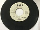 Ad Libs - New York in the dark - Northern Soul AGP DEMO