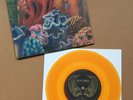 RIVAL SONS 'Thundering Voices' 7