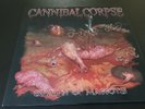 cannibal corpse ?– spawn  of maggots  - LP  - coloured- Death Metal