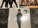 Hip Hop Rap LP Vinyl - 2 Live Crew Run DMC Queen Latifah ( De La Soul Prince Po