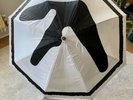 Aphex Twin Windowlicker Umbrella