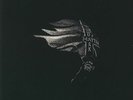BOYD, Moses - Dark Matter (Love Record Stores 2020) - Vinyl (2xLP)