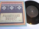 Rare Frightened Rabbit 7