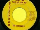MANDELLS  What Can You Do For Me / Instrumental  VPI   Hear 