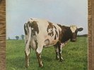 PINK FLOYD - ATOM HEART MOTHER -1970 1st HARVEST no EMI SHVL781 A1G/B1G VG+/EX-