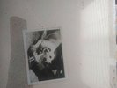 Fleetwood Mac 1979 Warner Bros Records Unopened Tusk Vinyl