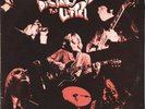 The Litter - Distortions LP - Black 180 Gram Vinyl Album NEW Garage Rock Record