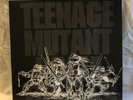 Teenage Mutant Ninja Turtles, Hyperstone Heist, VINYL, Ex. Condition