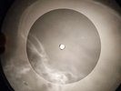 4pcs Rolling Stones X-RAY OF USSR BONE RECORDING