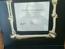 Ozzy Osbourne QTY 3 AUTOGRAPHED COA's from See You On The Other SIde Box