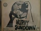 45 GIRI - LITTLE RICHARD - HURRY SUNDOWN