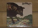 BULL ANGUS - 