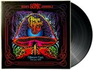 The Allman Brothers Band Bear's Sonic Journals [180-gram] LP Vinyl Record Album
